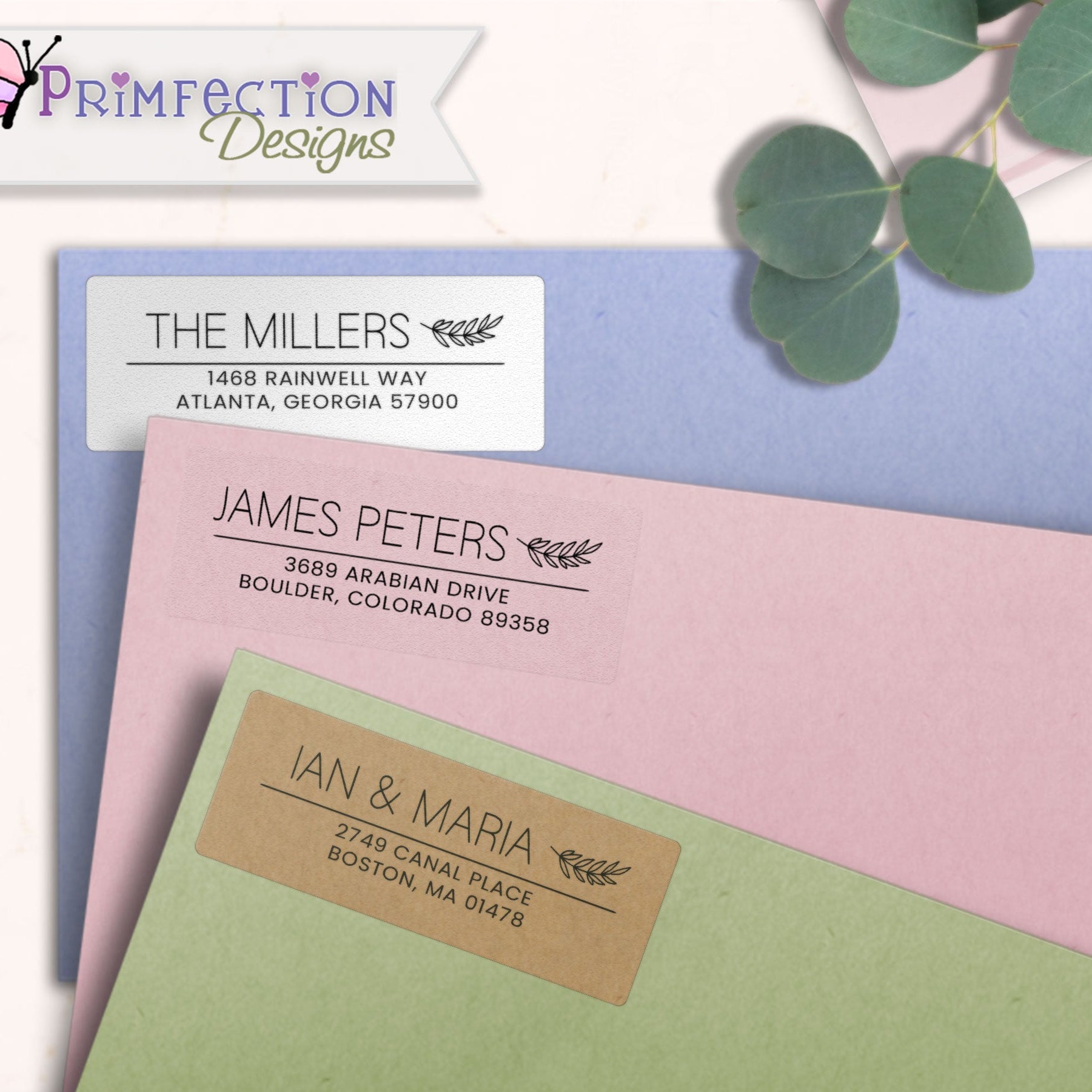 Olive Branch Line ArtReturn Address Labels on envelopes